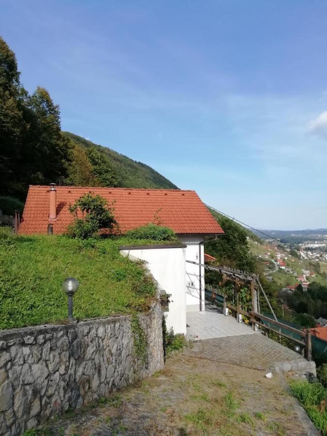 Villa Wine House, Zidanica Gruden Novo Mesto Exterior foto